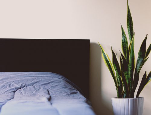 4 Rules of Healthy Bedroom Design